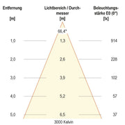 EVN Lichttechnik - Downlight/Strahler/Flutlicht LED-Anbauleuchte ALG54130125