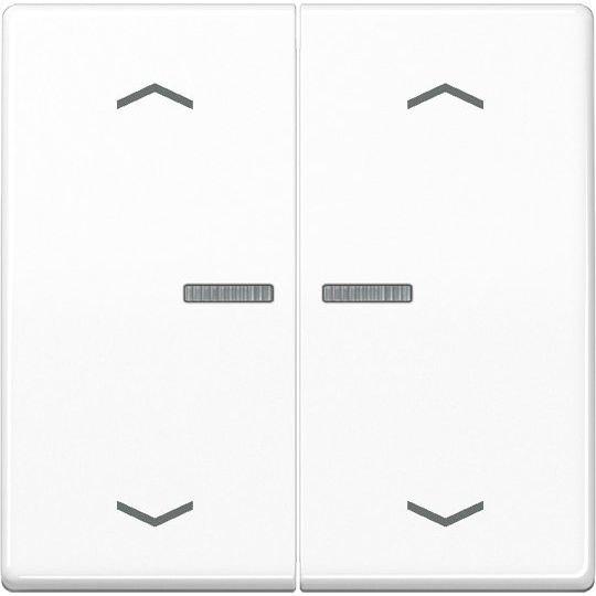 Jung - Abdeckung/Bedienelement für Installationsschalterprogramme Wippe Symbole/Lichtl.aws AS 591-5 KO5MP WW für Taster