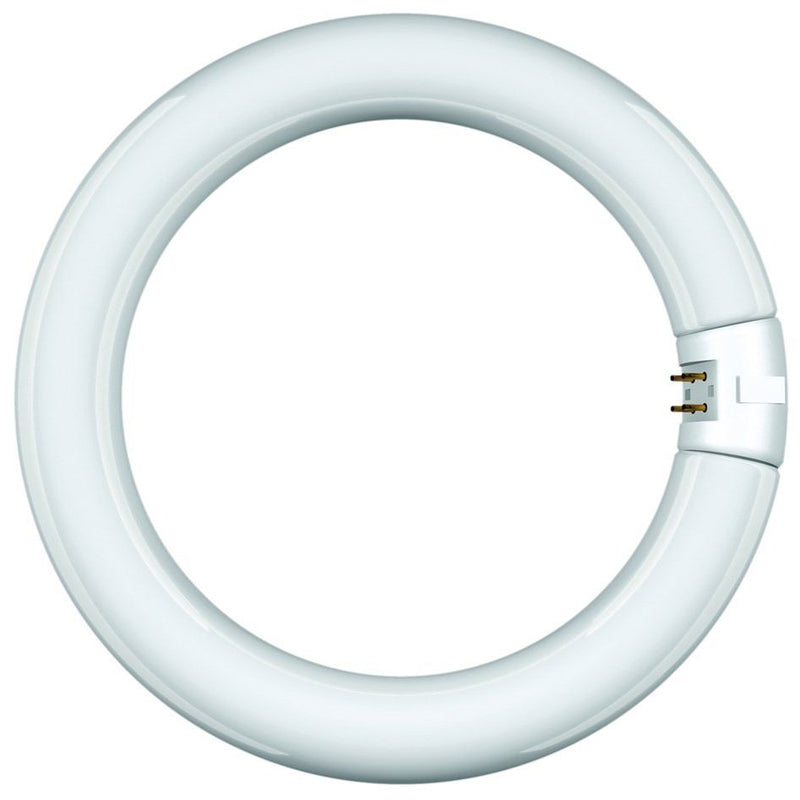 Scharnberger+Hasenbein - Leuchtstofflampe Ring-Form 68843 G10q 6500K