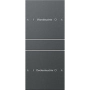 Gira - Bussystem-Tastwippe Wippenset 2-fach 220228 beschr. Sys 55 Anthr