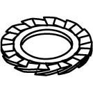 Rico - Sicherungsscheibe Fächerscheibe 16J4-10-F feuerverzinkt − 1 Stück by Rico
