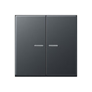 Jung - Bedienelement intelligent Taster 2fach BT A 17102 BF ANM JUNG HOME