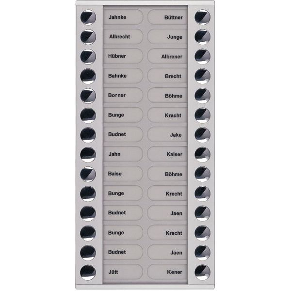 TCS Tür Control - Montageelement für Türstation Audioaußenstation 2-reihig PET28-EN/04 Erw.28 Tasten si