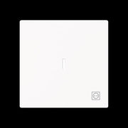 Busch-Jaeger - Abdeckung/Bedienelement für Installationsschalterprogramme Wippe mit Symbol Stecker 1789 ST-44M m. transpar. Kalotte
