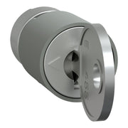Schneider Electric - Komponente für Tür (Schaltschrank) Zylinderschloss 2Schlüssel LVS07942 Nr.1242E − 1 Stück