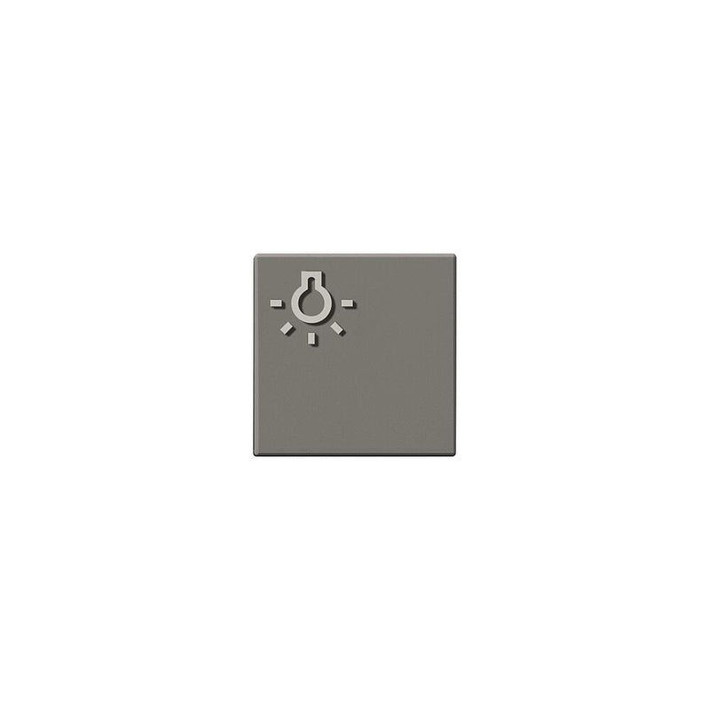 Siedle&Söhne - Zubehör/Ersatzteile für Türkommunikation Taste m.Lichtsymbol titan 200029099-00 f.TLM 611/612-01 TM