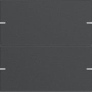 Gira - Bussystem-Tastwippe Wippenset 2-fach 5022928 Tastsens.4 TS4 Anthr
