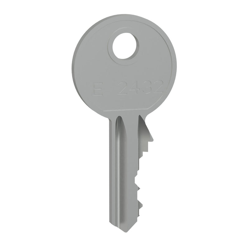 Schneider Electric - Komponente für Tür (Schaltschrank) Zylinderschloss LVS07956 2 Schlüssel Nr.2432E
