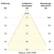 EVN Lichttechnik - Decken-/Wandleuchte LED-Deckenleuchte DSR54190125 ML, MC