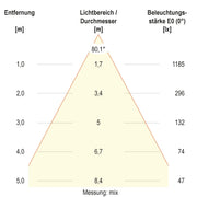 EVN Lichttechnik - Decken-/Wandleuchte LED-Deckeneuchte DSM54180125 CCT Switch, ML