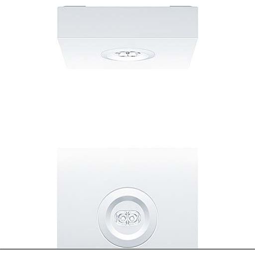 Zumtobel Group - Sicherheitsleuchte Sicherheitsleuchte RESCLITE P #42929792