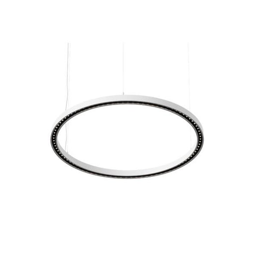 Brumberg Leuchten - Pendelleuchte LED-Pendel-Ringleuchte 84010174 4000K, DALI-2