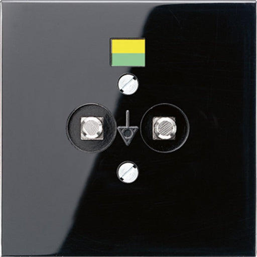 Jung - Potentialausgleichsdose Potential-Ausgl.Steckdose LS 965-2 SW 2 Steckerstifte