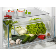 Electrolux AEG MDA - Kühlschrank EB-Kühlgerät OSK5O121DF Ecoline,Festtür