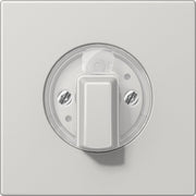 Jung - Abdeckung/Bedienelement für Installationsschalterprogramme Abdeckung LS 1941 LG für Drehschalter