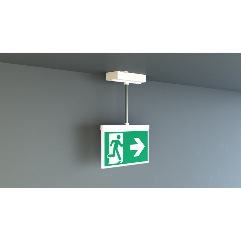 RP-Technik - Sicherheitsleuchte Rettungszeichenleuchte AMDP009ML ZB, ML, Piktoset
