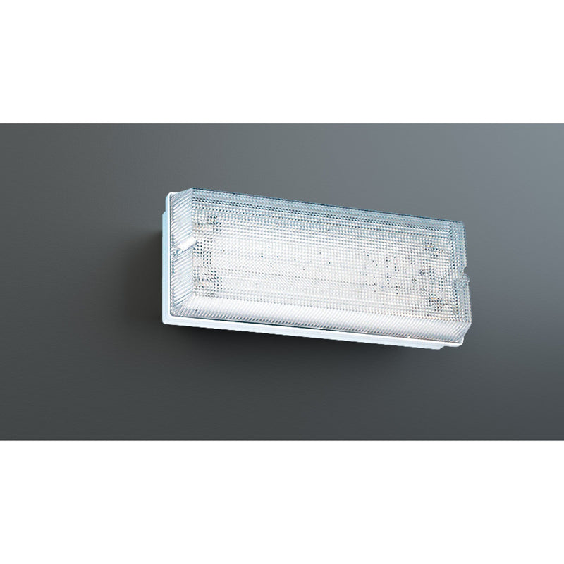 RP-Technik - Hinweisleuchte Sicherheitsleuchte PFW418WL-TT EB 8h, Wireless