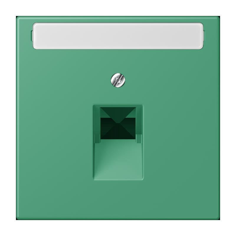 Jung - Einsatz/Abdeckung für Kommunikationstechnik Abdeckung für IAE/UAE LC 969-1 NAUA 250 vert 59 (4320G)
