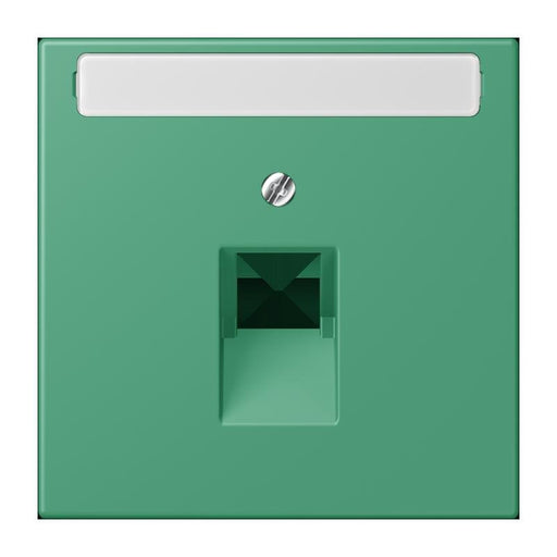 Jung - Einsatz/Abdeckung für Kommunikationstechnik Abdeckung für IAE/UAE LC 969-1 NAUA 250 vert 59 (4320G)