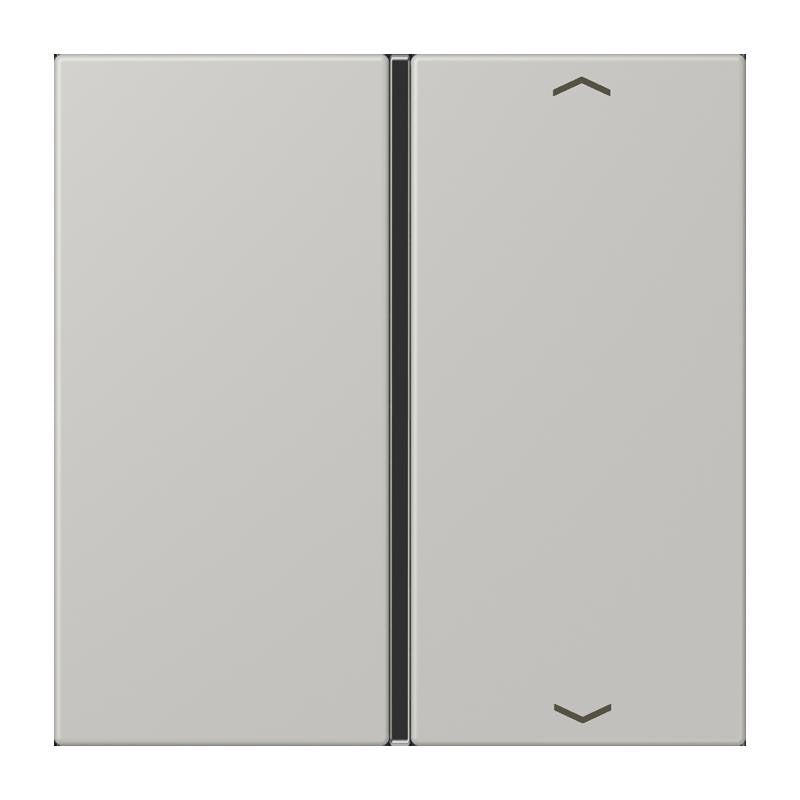 Jung - Abdeckung/Bedienelement für Installationsschalterprogramme Taste 1fach m. Pfeilsymb. LC 401 TSAP 205 gris clair 31