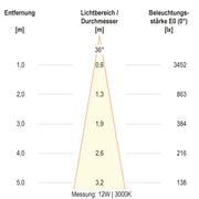 EVN Lichttechnik - Downlight/Strahler/Flutlicht LED-Schienenstrahler CT150125