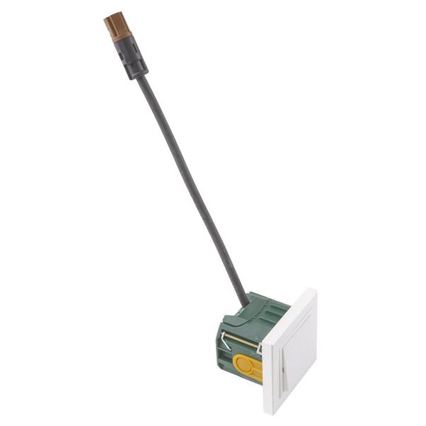 Peha - Installationsschalter Socketline Connect H20.516671.022SWRD30 Geräte-Kombi, rws