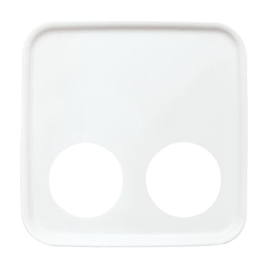 Busch-Jaeger - Zentralelement Klinikinstallation Zentralscheibe aws 2548-020 D-214 2 Steckkontakte  − 1 Stück
