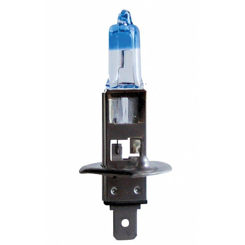 Scharnberger+Hasenbein - Fahrzeuglampe Autolampe Halogen H1 Xenon 81091 P14,5s 12V 55W +120%