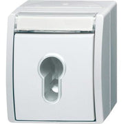 Busch-Jaeger - Installationsschalter Schlüsselschalter 2733 SLW-54