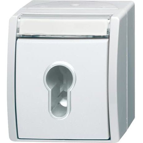 Busch-Jaeger - Installationsschalter Schlüsselschalter 2733 SLW-54