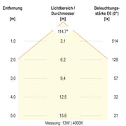 EVN Lichttechnik - Decken-/Wandleuchte LED-Anbauleuchte WR30180125 IP66