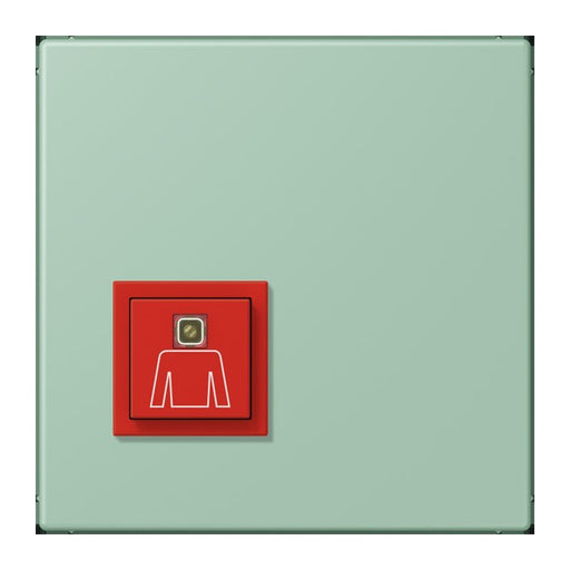 Jung - Behindertenelement für Installationsschalterprogramme Notrufsystem Ruftaster NRS LC 0834 RT 217 vert anglais clair