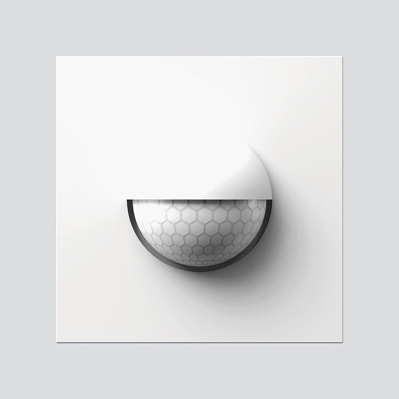 Siedle&Söhne - Funktionsmodul für Türkommunikation Bewegungsmelder-Modul BMM 611-0 W weiss