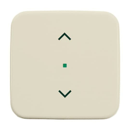 Busch-Jaeger - Bussystem-Tastwippe Wippe 1-fach, Symbol Licht 6232-10-212 weiß