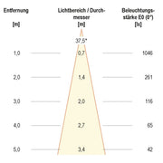 EVN Lichttechnik - Downlight/Strahler/Flutlicht LED-Wallwasher P65240602 si 3000K 24VDC IP65