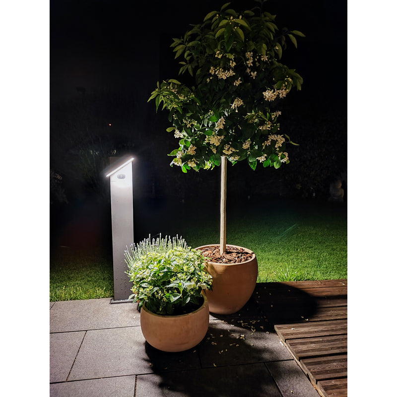 Lichtline - Wegeleuchte LED-Solar-Wegeleuchte PRDX27800 60cm