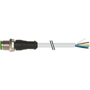 Murrelektronik - Rundsteckverbinder, feldkonfektionierbar (Industriesteckverbinder) Rundsteckverbinder 7000-12041-2351000 M12 St - PUR-JB − 1 Stück