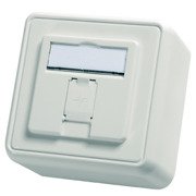Telegärtner - Kommunikationsanschlussdose Kupfer Modul-Aufnahme AP 80x80 100021381 1fach aws leer