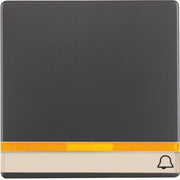 Berker - Abdeckung/Bedienelement für Installationsschalterprogramme Wippe anth/sa 16286076 2 Linsen/Beschriftg