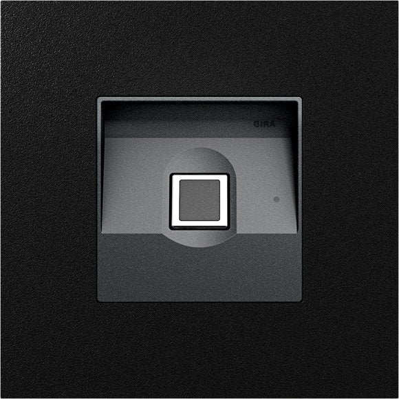 Gira - Bussystem-Zutrittskontrolleinrichtung KeyIessIn Fingerprintmodul 5551925 sw matt