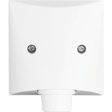 Busch-Jaeger - Abdeckung/Bedienelement für Installationsschalterprogramme Zentralscheibe aws 2133-34 für Leitungsauslass