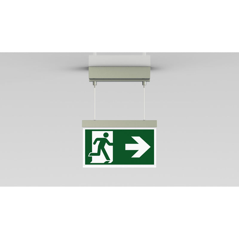 RP-Technik - Sicherheitsleuchte LED-Rettungszeichenleuchte AXDC401SC-E EB 1h, SC, eds-opt