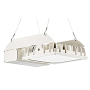 Pracht - Hallen-Reflektorleuchte LED-Hallenstrahler QUADRONIUS #86480221 IND DALI 4000K SK I