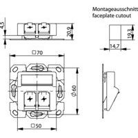 Telegärtner - Kommunikationsanschlussdose Kupfer Modul-Aufnahme 2fach 100021417 UP/50 aws aufbauend − 1 Stück