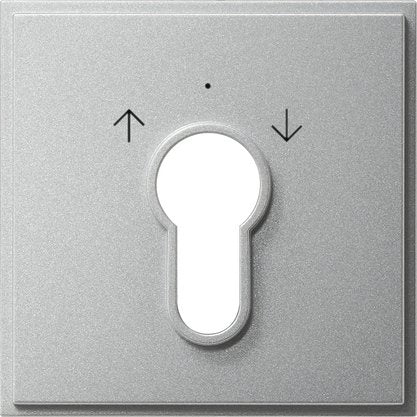 Gira - Abdeckung/Bedienelement für Installationsschalterprogramme Zentralpl. Schlüssel. alu 066465 TX44