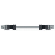 WAGO - Konfektionierte Leitung für steckbare Gebäudeinstallation konfekt.Verbindungsleitung 891-8994/005-603 Eca,Buchse Stecker