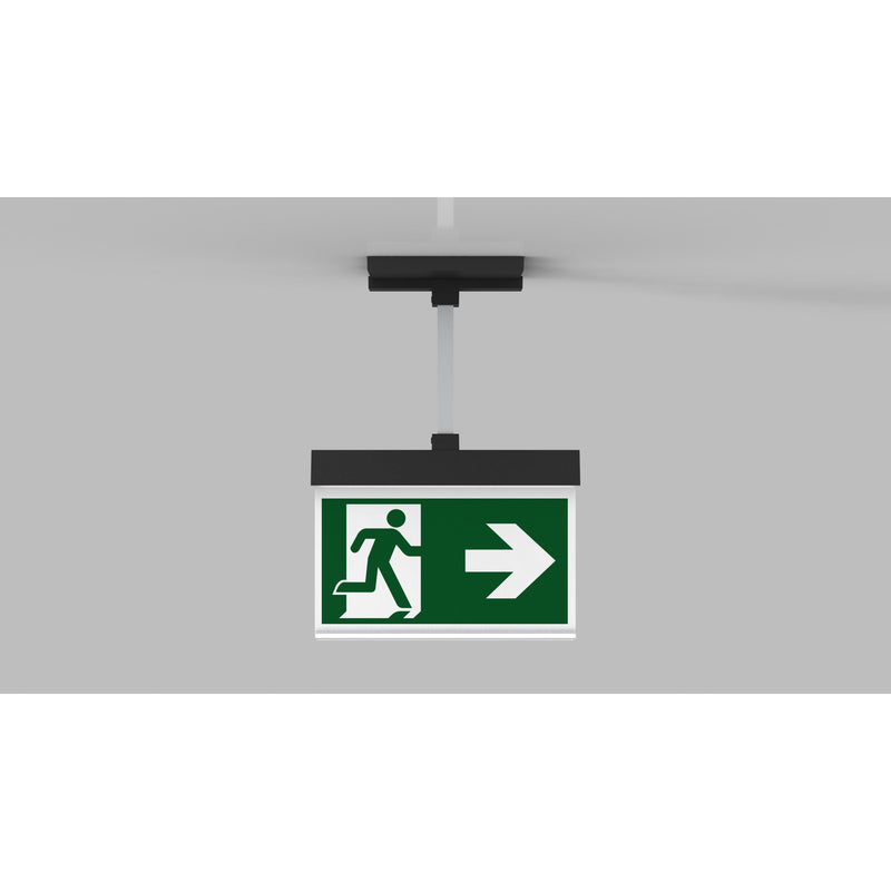 RP-Technik - Sicherheitsleuchte LED-Rettungszeichenleuchte AIEP009ML-AZ ZB + ML, anthrazit