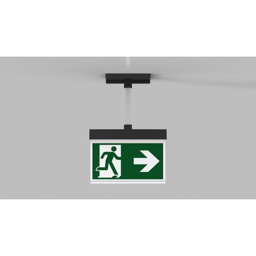 RP-Technik - Sicherheitsleuchte LED-Rettungszeichenleuchte AIEP009ML-AZ ZB + ML, anthrazit