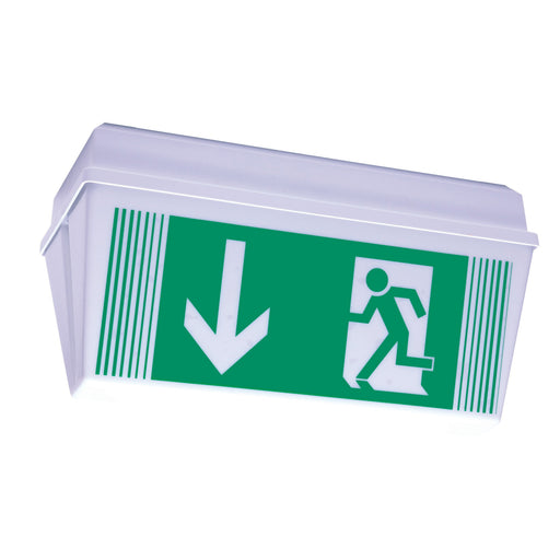 RP-Technik - Hinweisleuchte Sicherheitsleuchte PFD418SC EB 8h