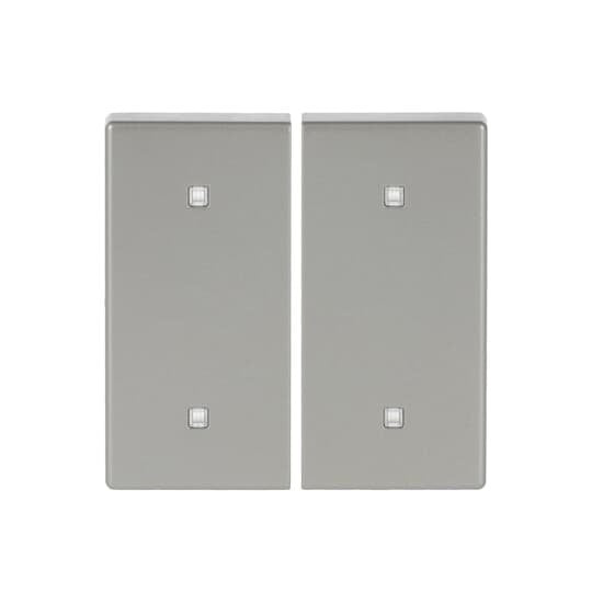 Busch-Jaeger - Abdeckung/Bedienelement für Installationsschalterprogramme Wippe 2-fach 2570-20-866 Elektroniktaster
